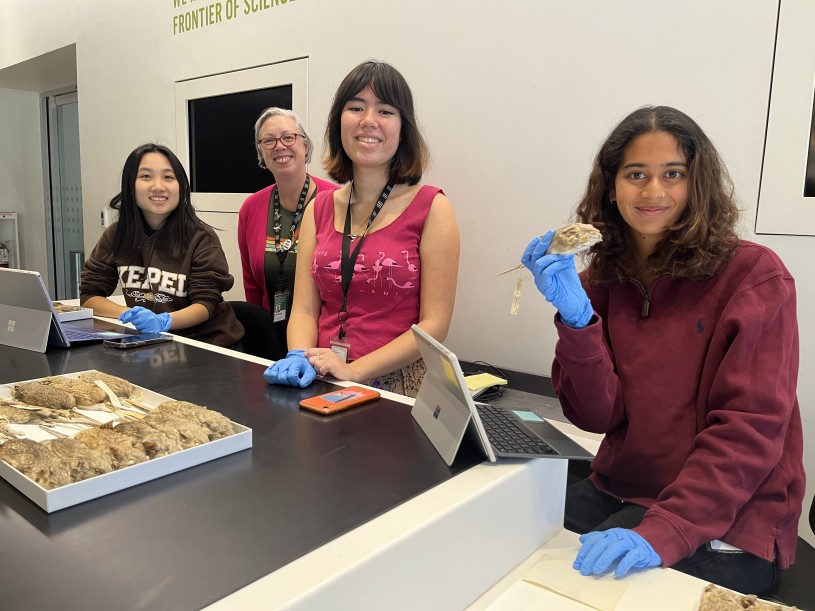 NHM Staff stand behind a desk in the Nature Lab behind collection specimens in a box with the staff member closest to the foreground holding up a specimen