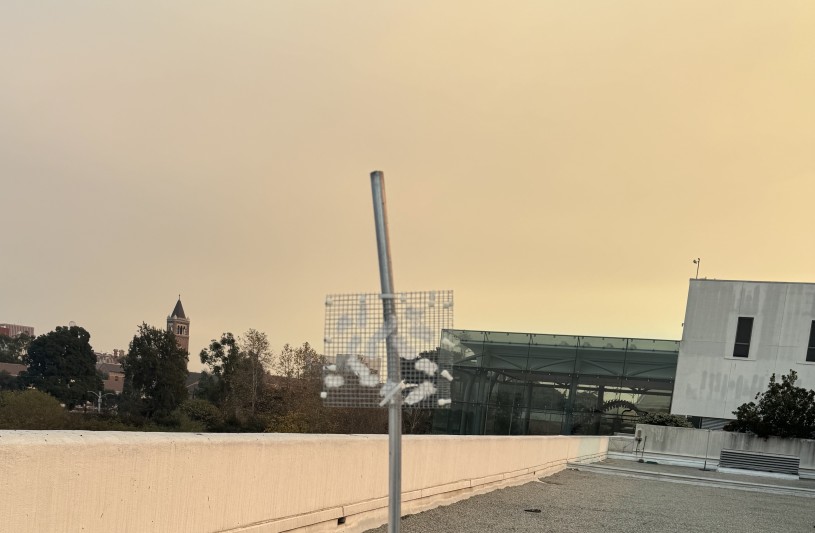 A makeshift screen holding feathers on the roof of NHM