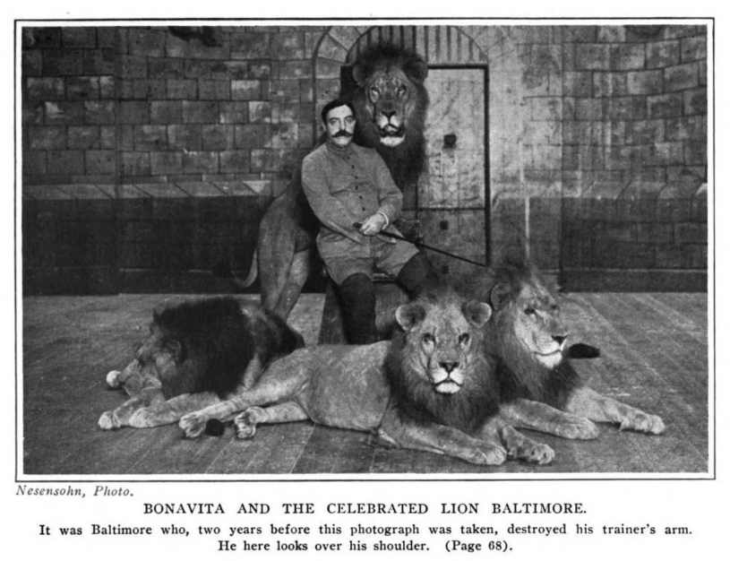 A man with a large moustache and one arm sits in a chair surrounded by male lions