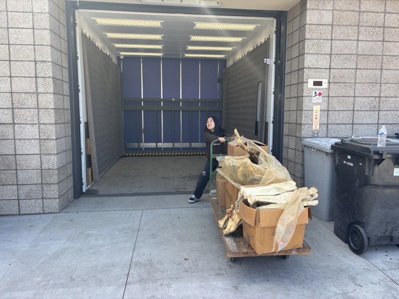 Work study student pulls dolly cart into the freight elevator