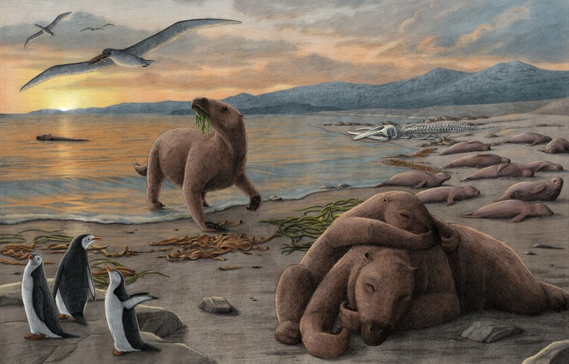 Illustration of aquatic sloths chilling by the beach next to some penguins and sea lions during a sun set