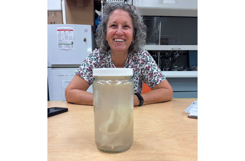 A fox skull in a jar in front of a smiling woman with gray curly hair