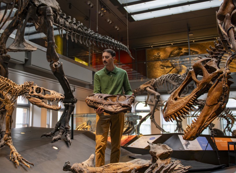 Zach Morris holds a nanotyrannus skull in between t-rex fossils of different ages in the t-rex growth series