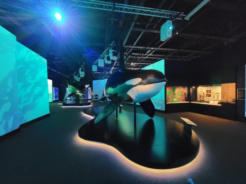 Black and white sculpture of an orca on poles, above a black cut-out organic shape on the ground