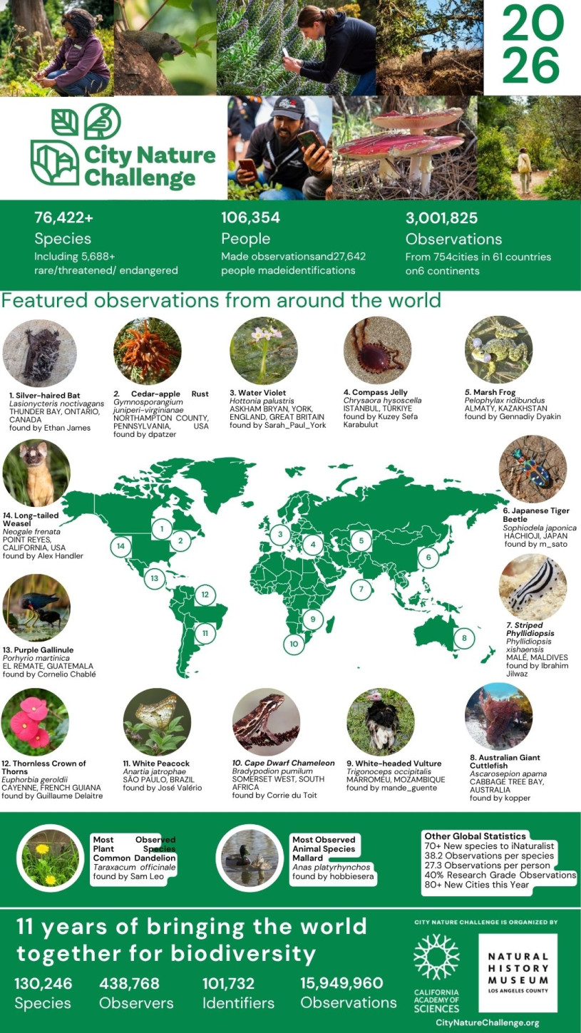 2026 City Nature Challenge results infographic 