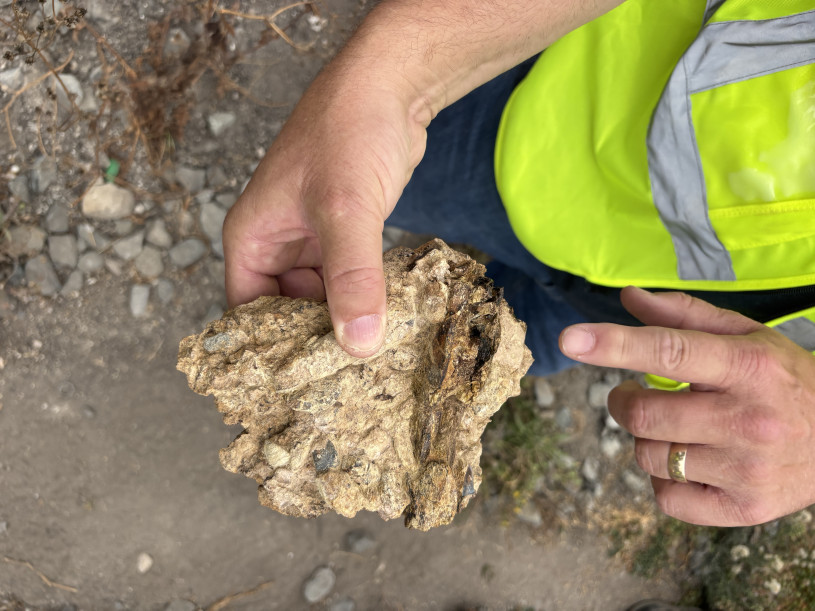Hands holding a rock with a fossil in it, one finger pointing to darker rock which is the fossil.