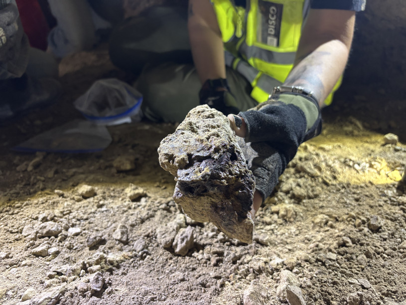 A rock (actually a fossil) held up