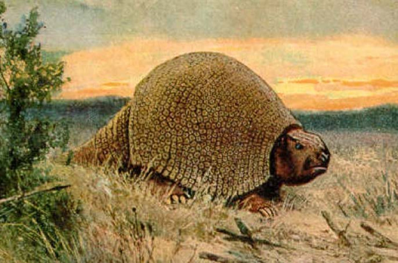 Paleoart of a Glyptodon 
