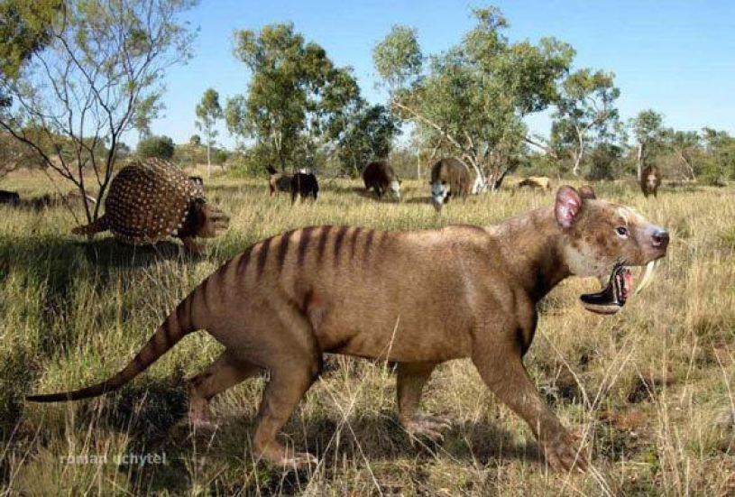 Thylacosmilus reconstruction