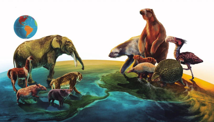 An elephant, tapir, saber-toothed cat, llama, and pecarry face off with a pair of giant sloths, a pair of armadillos, a big rodent, and a terror bird, the former on the North American side and the latter on the South America; a globe is in the top left