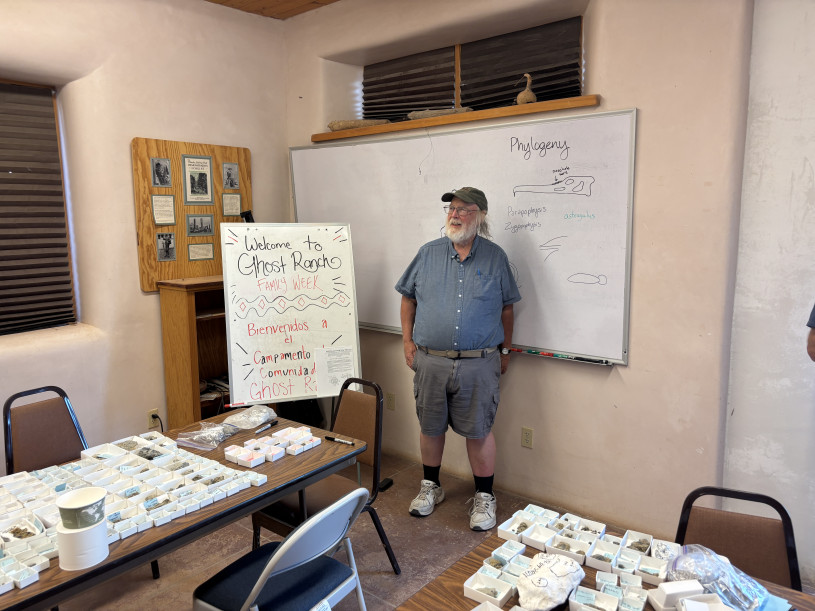 a white-bearded man in a ball cap, shirt, and shorts in front of a white boared