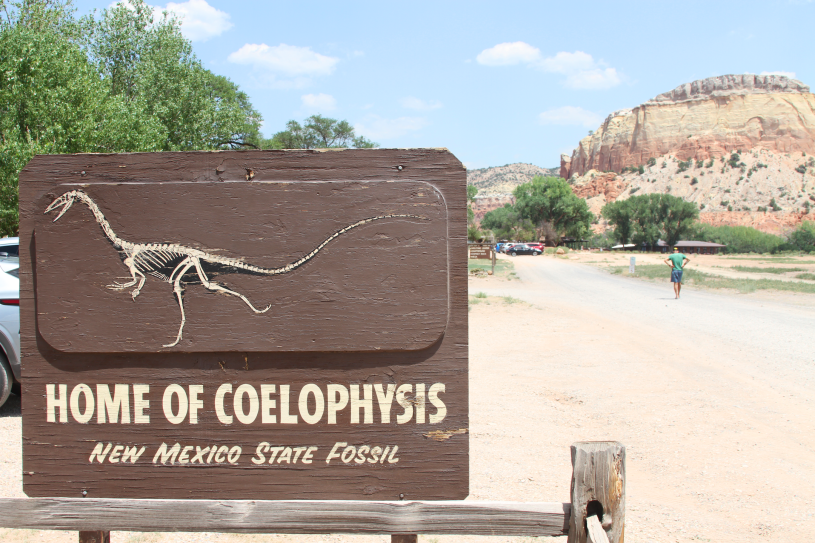 A sign that says Coelophysis
