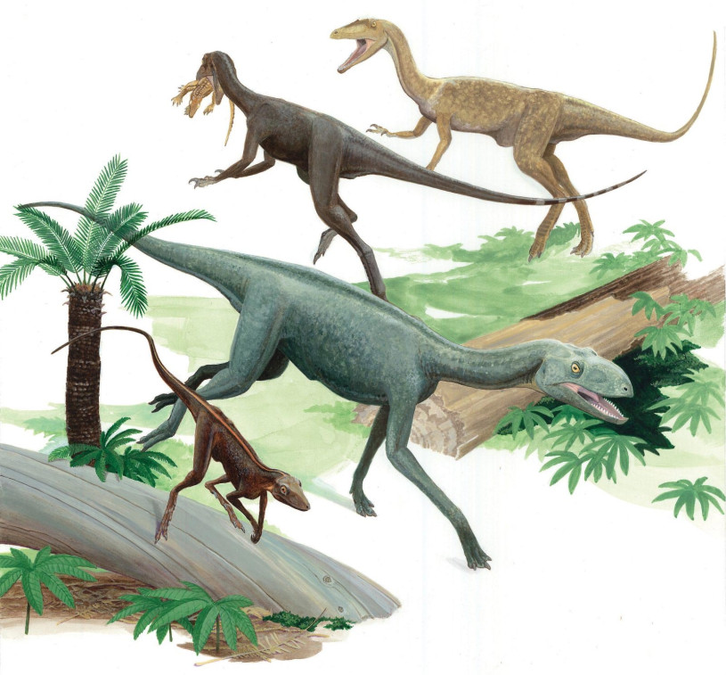 a small reptile in the foreground with three dinosaurs in the background