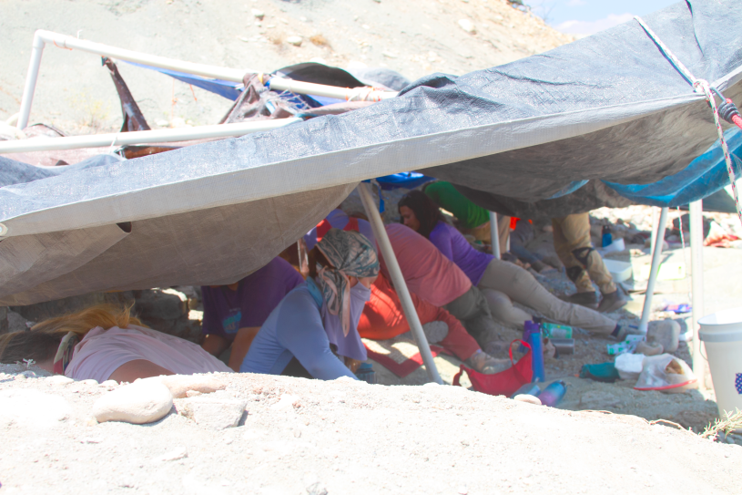 Line of people working under a tarp