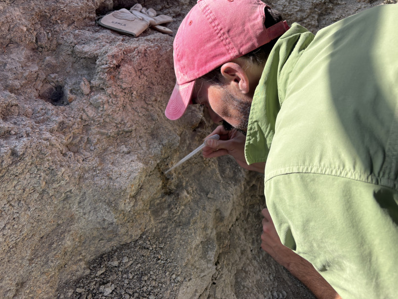 A man in a red cap and green shirt applies liquid to a fossil