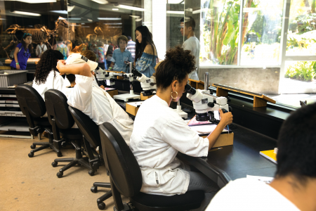 Analisa Rivera, a UCLA senior, examining microfossils in the Fossil Lab.
