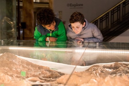 Boys looking at fossil in dino hall