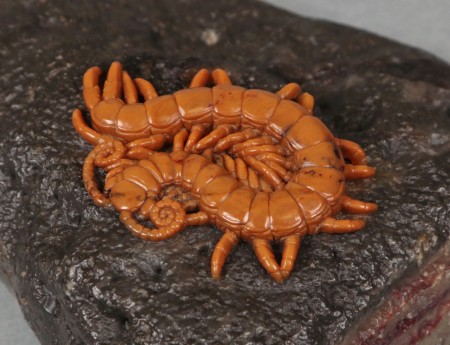 Stone Sculpture of Asian Centipede