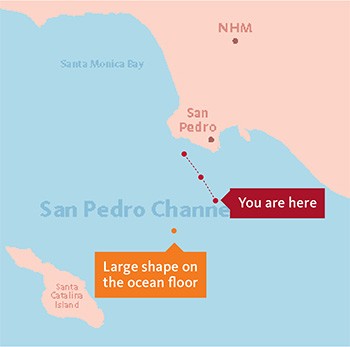 ocean experience submersible map 4