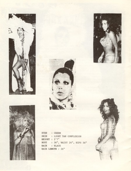 brochure titled &quot;Who is Sir Lady Java?&quot; featuring four photos of Java performing, one headshot of Java, and information about Java’s physical appearance.