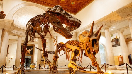 Dueling Dinos in the Grand Foyer
