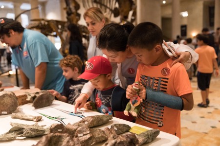 Image of guests viewing Dino Institute collections during Dino Fest