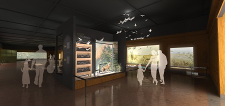 Rendering of visitors walking in a diorama hall