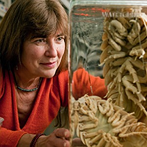 Head and shoulders portrait of Regina Wetzer in red shirt looking at a specimen in a jar