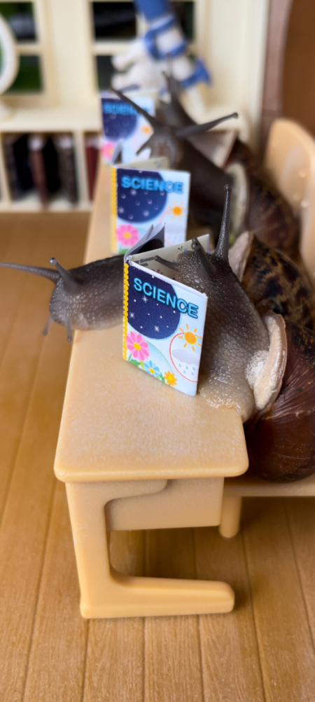 Snails sitting at a desk with a book
