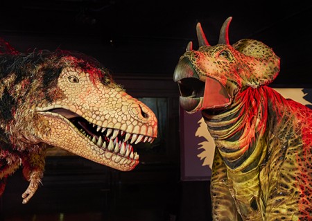 Closeup of dinosaur puppet heads facing each other