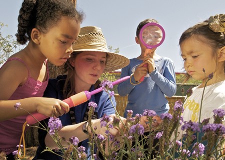Children with magnifying glasses looking at flowers